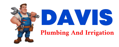 Trusted plumber in NYE